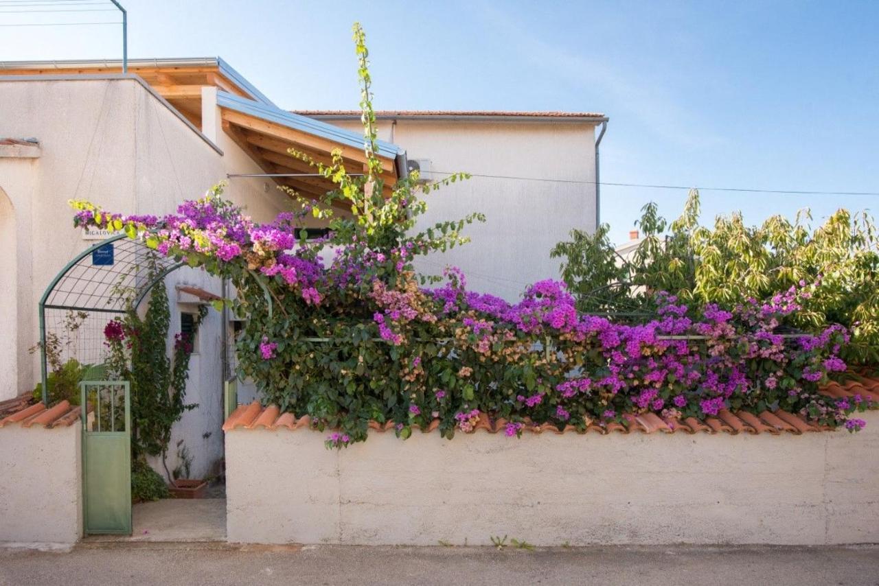 Apartments Anita Summer Vodice Ngoại thất bức ảnh